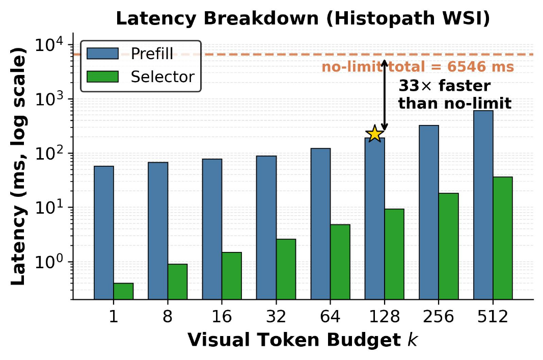Visual token budget sweep